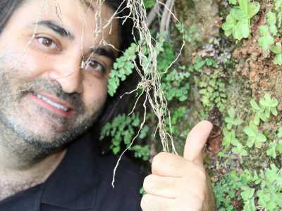 Domenico Saulle, studente dell'Universit� di Bari appassionato di piante carnivore, posa accanto alle piantine di pinguicula hirtiflora sopravvissute in un dirupo a Rossano Calabro